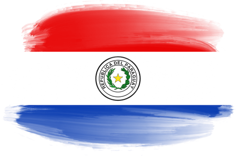 Paraguay Brush Flag